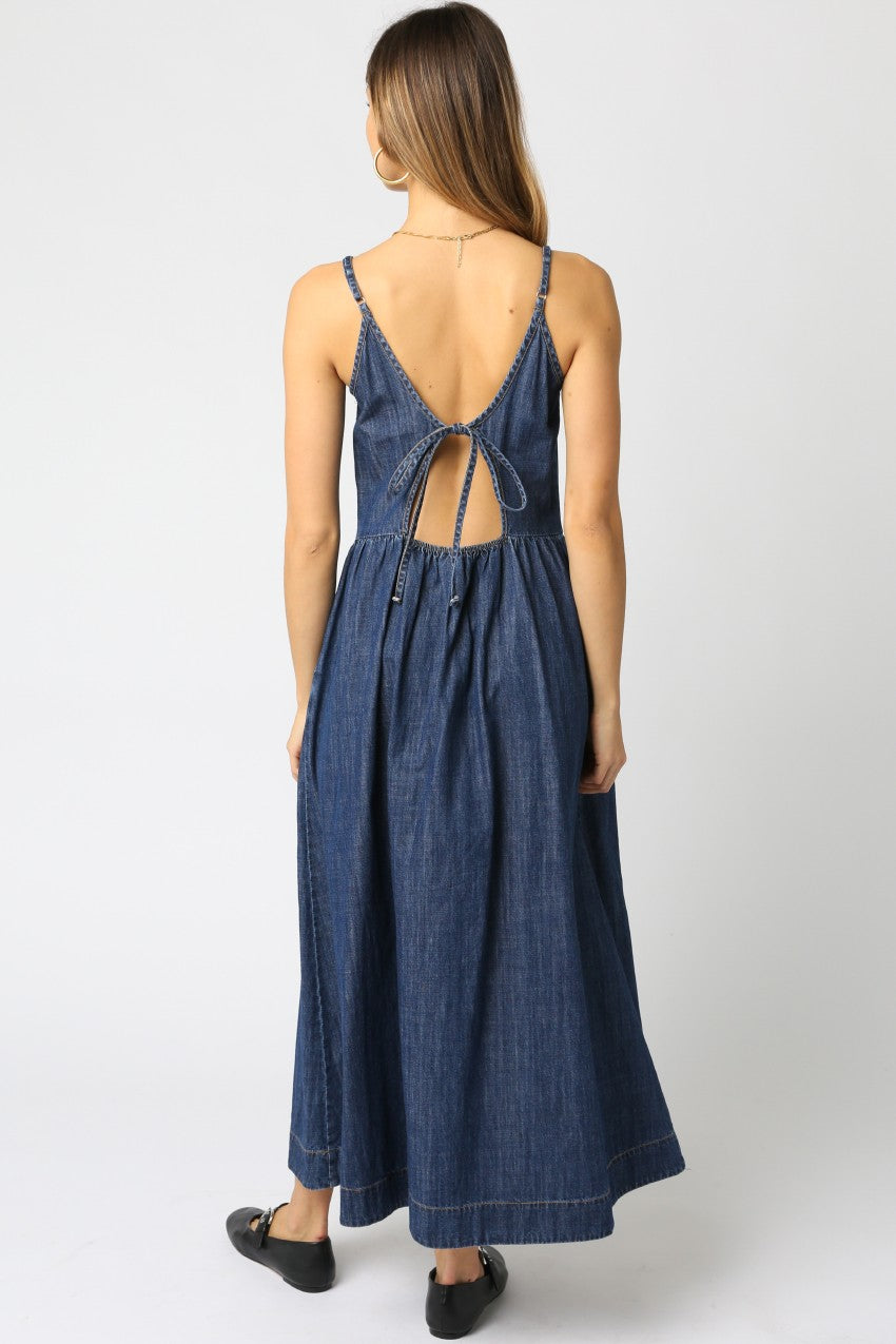 Edina Denim Dress